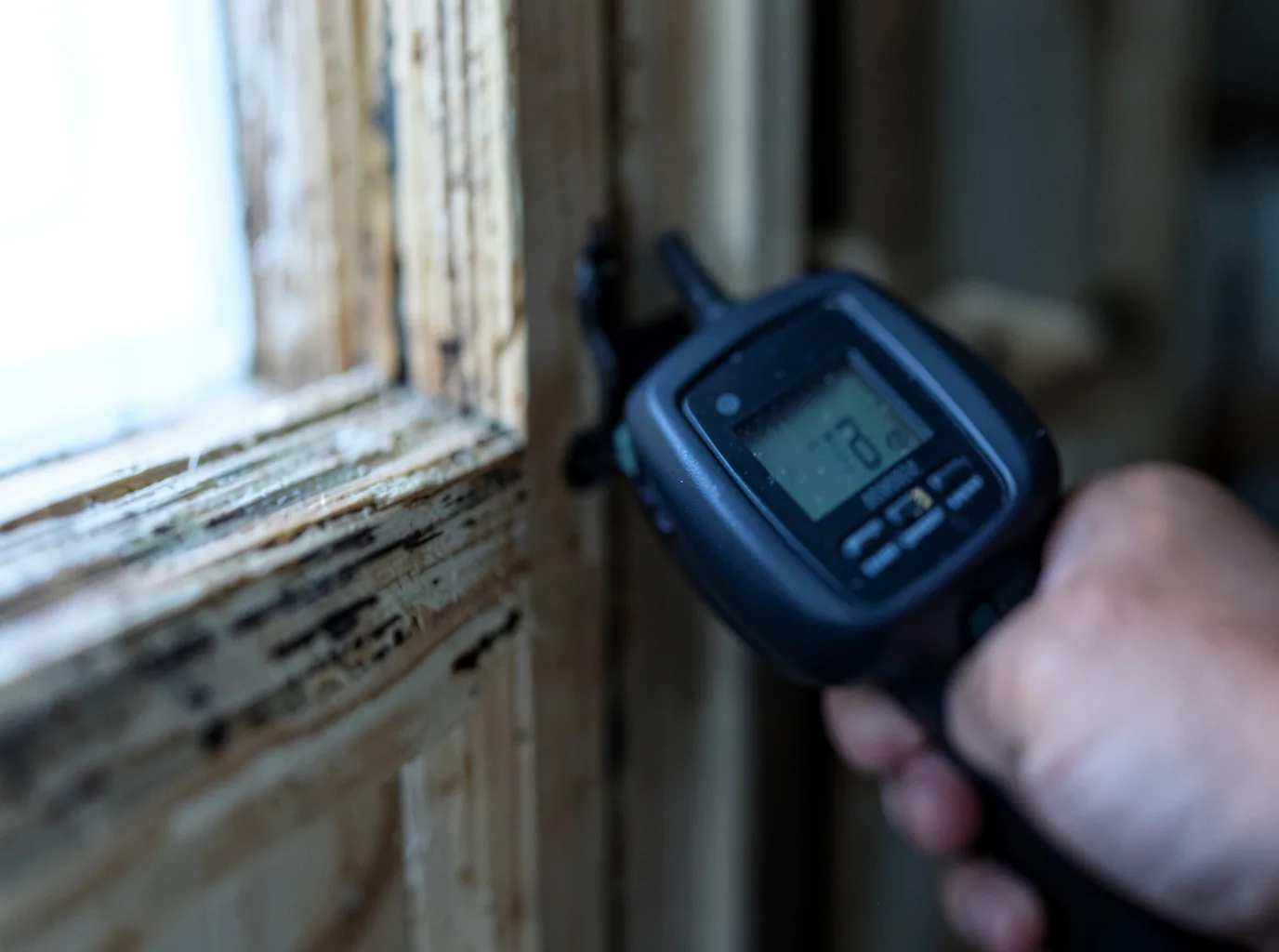 Moisture Inspection And Documentation in North Versailles, PA